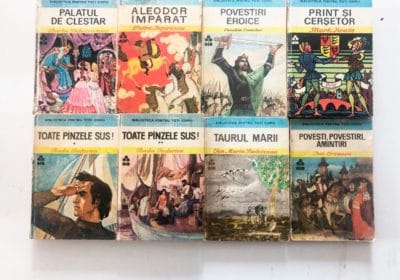 bpt-ed-ion-creanga-8b