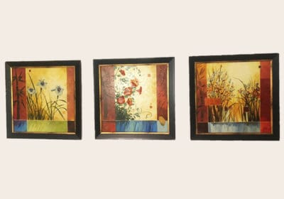 cleo-picturi-flori-acrilc